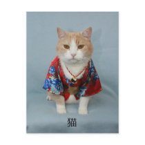 猫