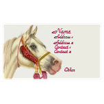 Paarden Visitekaartjes