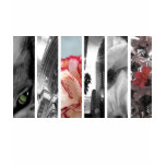 Art Photography Design, AR Annahita Shirts