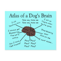 Atlas van de Hersenen van een Hond