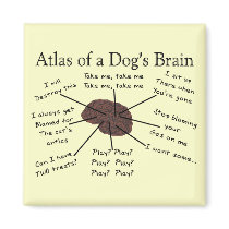 Atlas van de Hersenen van een Hond