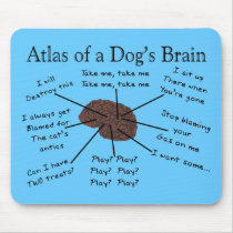 Atlas van de Hersenen van een Hond