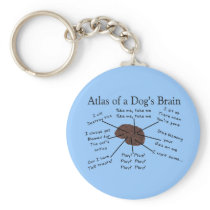 Atlas van de Hersenen van een Hond