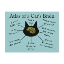 Atlas van de Hersenen van een Kat