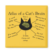 Atlas van de Hersenen van een Kat