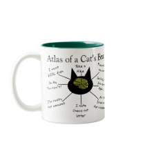 Atlas van de Hersenen van een Kat