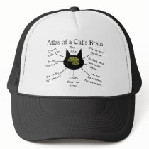 Atlas van de Hersenen van een Kat