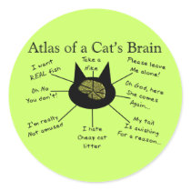 Atlas van de Hersenen van een Kat