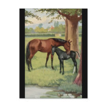 Beeld van het Veulen van de Merrie van het paard h