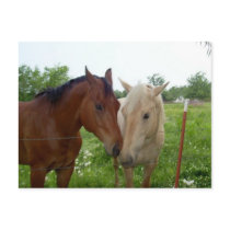 Beste Vrienden BFF voor altijd - Paarden