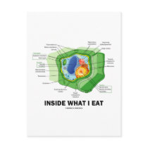 Binnen Wat ik eet (Humor van de Cel van de Install