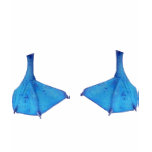 Blauwe Betaalde Voeten Boobie