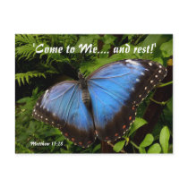 Blauwe exotische vlinder