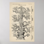 Boom van Ernst Haeckel de "van het leven "