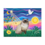 Chocolate Point Himalayan Cat  - Twilight Post Card