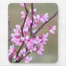De Bloei van Redbud