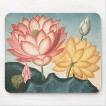 De bloemen van Lotus - het stootkussen van Lotus v