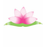 De Bloesem van Lotus