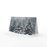 De Bomen van de winter