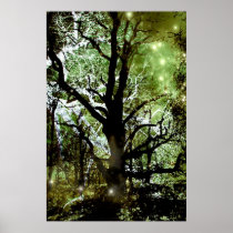 De boom van de Fee Posters