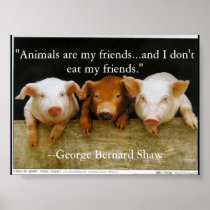 de dieren zijn mijn vrienden poster