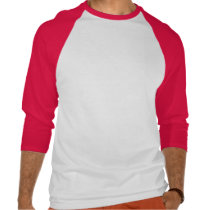 de_dolfijnen_van_de_eerbied_t_shirt-p235228313370369709bh25j_210.jpg