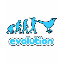 De evolutie van de tjilpen