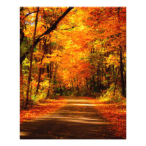 de foto van de herfstsleep