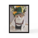 De grappige Duitse Verjaardag van de Kat