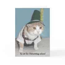 De grappige Duitse Verjaardag van de Kat