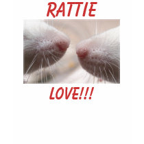 DE GRAPPIGE NEUZEN RATTIE, LIEFDE VAN DE RAT!!!