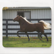 De Hengst van Struttin