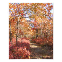 De herfst in New England 27 Foto ~