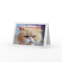 De Humor van de Perzische kat van de Dag van de ge