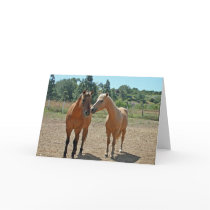 De Kaart van de Groet van het paard