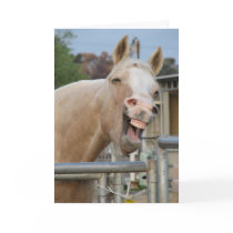 De Kaart van de Verjaardag van het paard