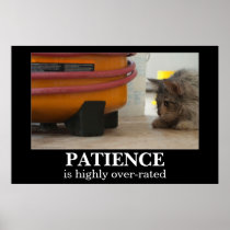 De Kat van het geduld en het Poster van Demotivati