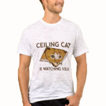 De Kat van het plafond let op u! - Aangepast