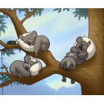 Kid’s Dieren Cadeau 