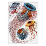 De Kwallen van Haeckel