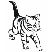 De leuke T-shirt van de Kat