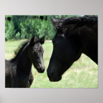 De liefde van het paard tussen mamma en haar babyv
