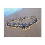 De Liefde van het strand