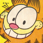 Garfield Cadeaus 