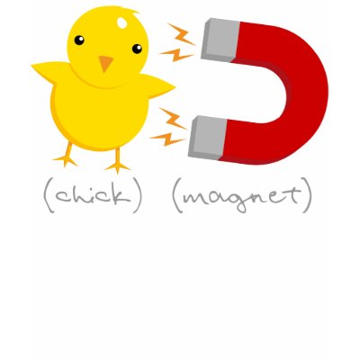 De Magneet van het kuiken! door VectorSmith