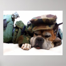 De militaire affiche van de bokserhond plaat