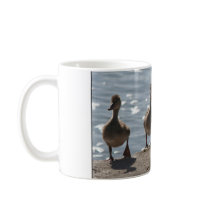 De Mok van de Eendjes van de wilde eend