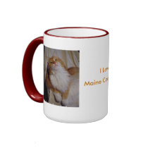 De Mok van de Katten van de Wasbeer van Maine