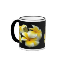 De Mok van Plumeria