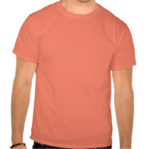 De Nederlandse Trots van Geek t-shirts